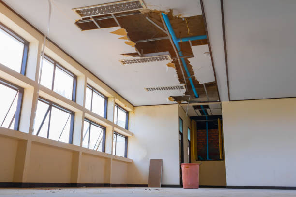 Best Water damage cleanup near me  in Tiburon, CA