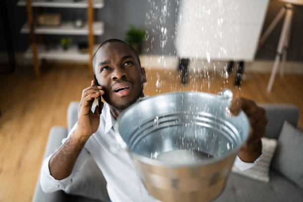 Best Basement water damage restoration  in Tiburon, CA