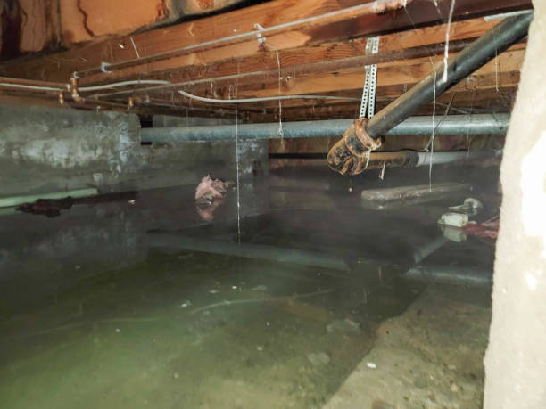 Best Water damage restoration near me  in Tiburon, CA
