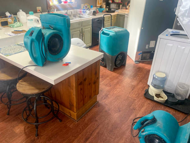 Best Water damage restoration mold remediation  in Tiburon, CA