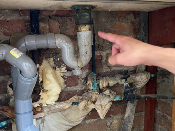 Best Water damage contractors near me  in Tiburon, CA